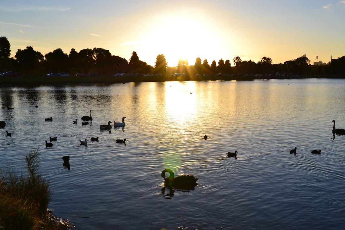 //thecentennialpractice.com.au/wp-content/uploads/2018/05/Sunset_Centennial_Park_Sydney-copy-compressed.jpg